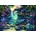 Anatolian - Puzzle Jungle Paradise - 3 000 piese