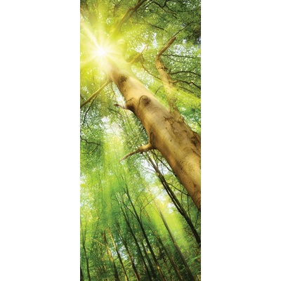 Vavex 33104 Vliesová obrazová tapeta Photomurals rozměry 91 x 211 cm
