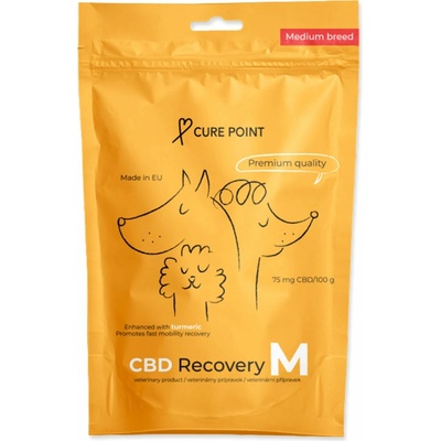 Cure Point CBD Recovery M 100 g