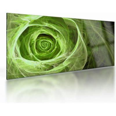 Sklenený obraz - Abstraktné ruže zelená, jednodielne 100x50 cm na skle