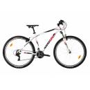 Velotec Pro 29