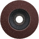 Brusné kotouče Festa Kotouč lamelový 125 mm P100