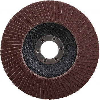 Festa Kotouč lamelový 125 mm P100