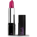Blush Rose Lipstick Vibe