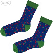 Raj-Pol ponožky Funny Socks multicolour