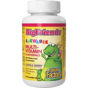 Natural Factors Chewable Multivitamin and Minerals with Whole Food Concentrates, 60 Chewables