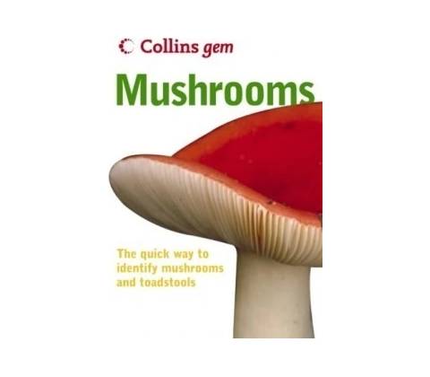 Mushrooms - Patrick Harding