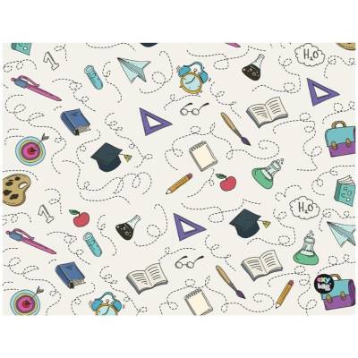 Karton P+P Ubrus PVC - BTS 65 x 50 cm