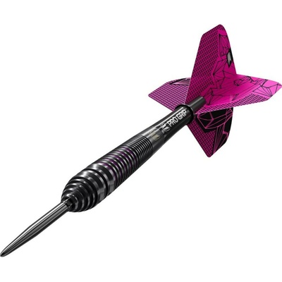 steel Target Lorraine Winstanley G2 24g SP 90% wolfram