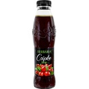 Herbária Sirup šípka 0,5 l