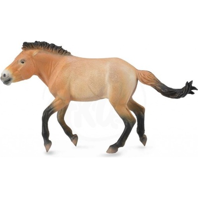 Collecta Kôň Przewalského