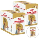 Royal Canin Adult Yorkshire Terrier 24 x 85 g