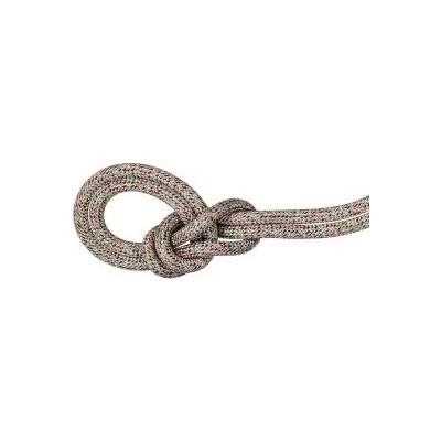 Mammut 9.5 Crag We Care Classic 40 m