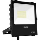 Ecolite RFLN01-100W