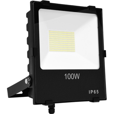 Ecolite RFLN01-100W