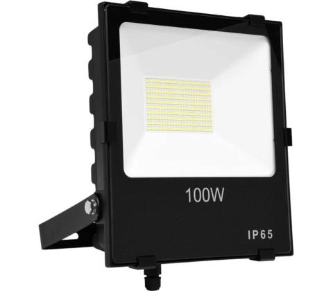 Ecolite RFLN01-100W