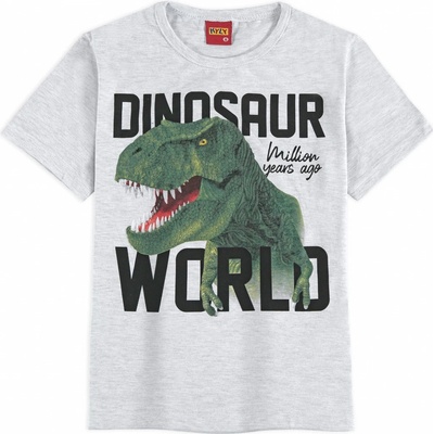 Chlapecké tričko KYLY DINO WORLD šedá