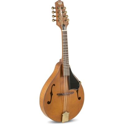 TENNESSEE F1 Premium Line A
