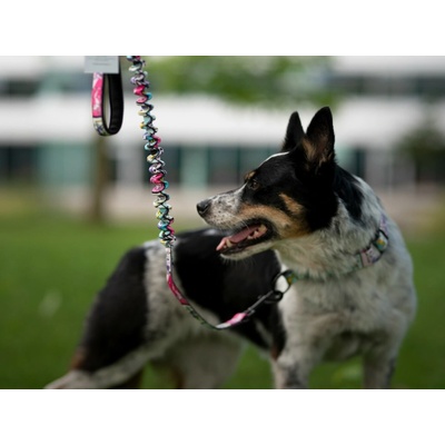 Sweet Energy.cz Vodítko Bungee Agility komiks