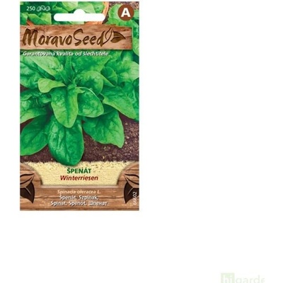 Moravo Seed Špenát Winterriesen
