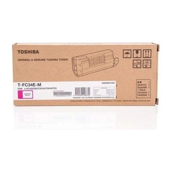 Toshiba 6A000001533 - originální