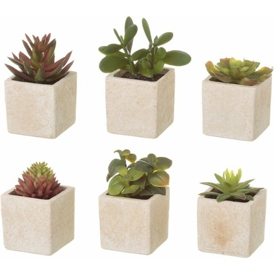 Umelé rastliny v súprave 6 ks (výška 9,5 cm) Cactus – Casa Selección