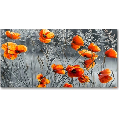 Fotoobraz na skle poľné mak 100x50 cm