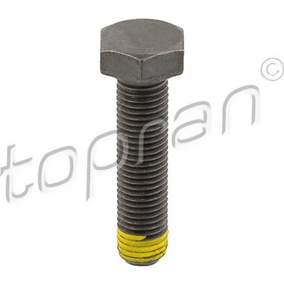 Skrutka zotrvačníka TOPRAN 502 756