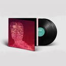 Max Richter: Voices LP
