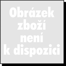 Blade Inductrix 200: Nabíječ