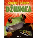 Džungla - -