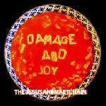 Warner Jesus & Mary Chain: Damage And Joy - CD (015971)
