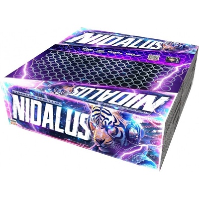 Kompaktní ohňostroj Nidalus 256 ran 20 mm