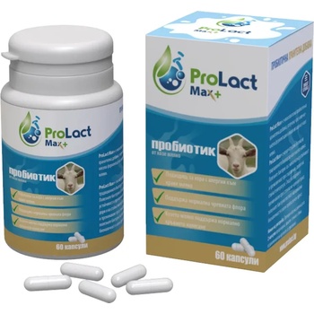 Image 1 of Prolact Пробиотици Prolact Max+ 60 капсули (PL390)