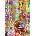 Enjoy - Puzzle Floral Curtain - 1 000 piese