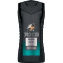 Axe Collision Leather and Cookies scent Men sprchový gél 250 ml