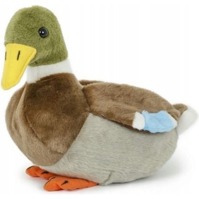 Divoká Kachna kachnička 30 cm