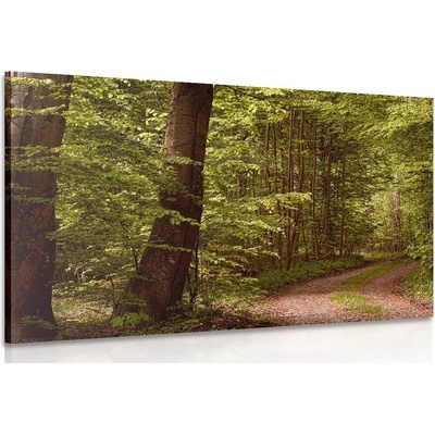 Obraz zelený les - 120x80