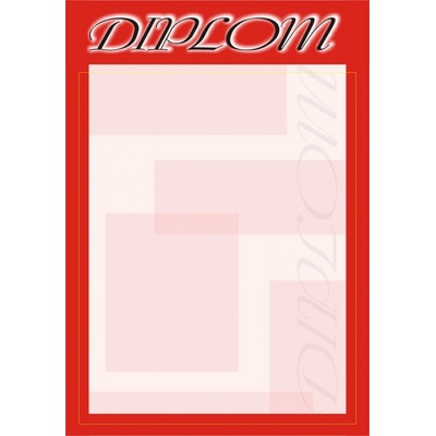 Diplom 13