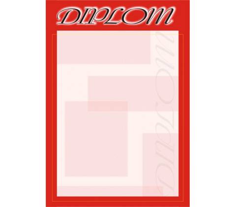 Diplom 13