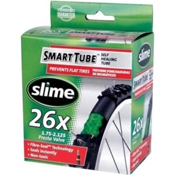 SLIME FV