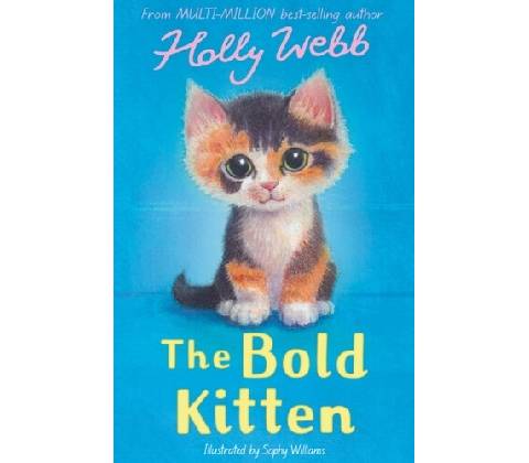 The Bold Kitten