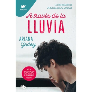 A TRAVES DE LA LLUVIA | GODOY, ARIANA (ISBN: 9788413147994)