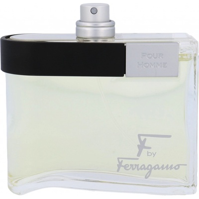 Salvatore Ferragamo F by Ferragamo toaletní voda pánská 100 ml