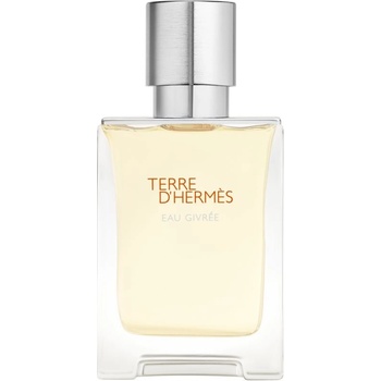 Hermès Terre d’Hermès Eau Givrée parfémovaná voda pánská 50 ml