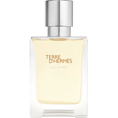 Hermès Terre d’Hermès Eau Givrée parfémovaná voda pánská 50 ml