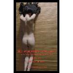 Dark Visions Publications Warlord's Concubine-Book Two | Paul Blades