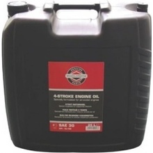 Briggs & Stratton SAE 30W 25 l