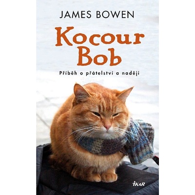 Kocour Bob - James Bowen