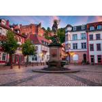 Bluebird Puzzle - Puzzle Heidelberg, Germany - 1 000 piese